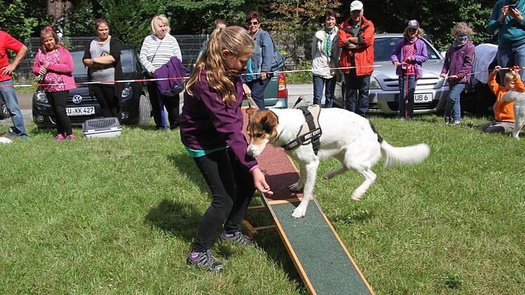 Diese wackelige Wippe war Sam ein bisschen unheimlich. Er entschied sich, nur kurz mal draufzuhopsen.