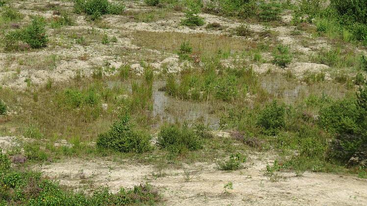 Foto: Stephan Neumann