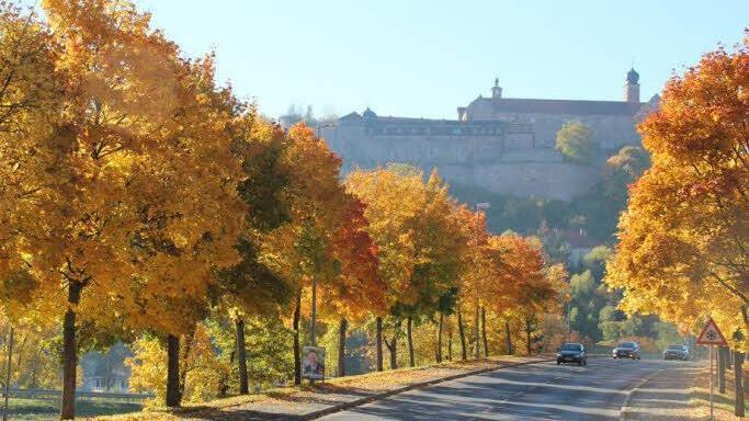 Userfoto: Heinz Fiedler