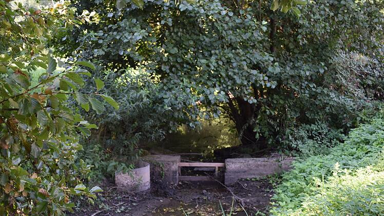 Fast leer: Der Mahlbach hinter dem Biberdamm an der Bahnbr&uuml;cke.
