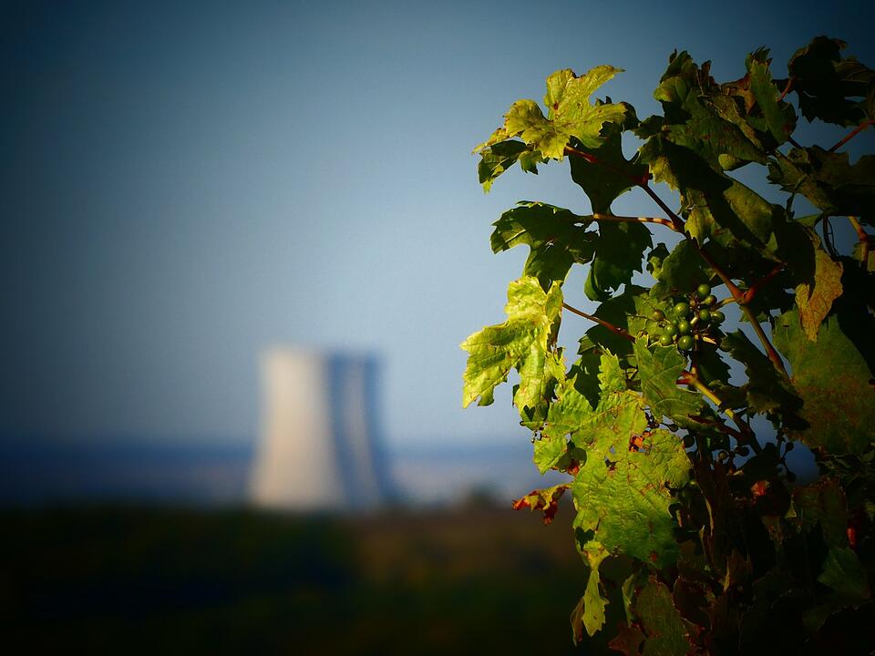 Die schönsten Fotos im Herbst aus Schweinfurt und Umgebung