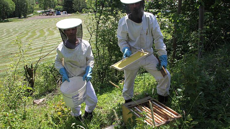 Max und Klaus Ruppert (von links) zeigen die Waben im Bienenkasten.  Foto: Friedwald Schedel