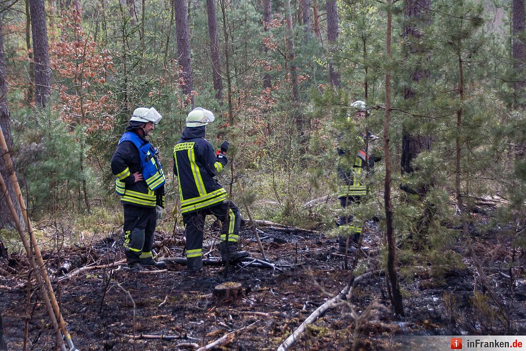 3000 Quadratmeter Waldboden standen in FlammenFeuerwehr hatte Lage schnell unter Kontrolle – Feuerwehr gibt Tipps für richtiges Verhalten im Wald aufgrund der Waldbrandgefahr
