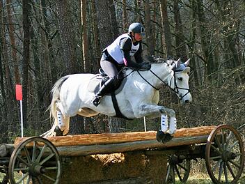 Unter anderem über Baumstämme und Holzwagen müssen die Reiter und ihre vierbeinigen Partner bei den Geländeprüfungen im Rahmen des Vielseitigkeitsturniers in Sulzthal springen.  Foto: Pötzsch