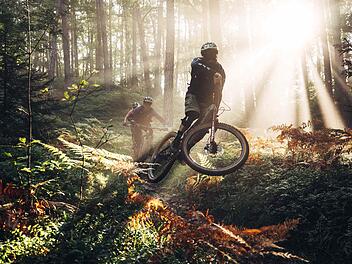 Inzwischen zählt die Region zu den besten Singletrail-Destinationen der deutschen Mittelgebirge – und wurde dafür auch schon ausgezeichnet. Erst kürzlich haben die Leser der BIKE, Europas größtem MTB-Magazin, die Region unter die Top 3 aller BIKE-Reviere weltweit geklickt.