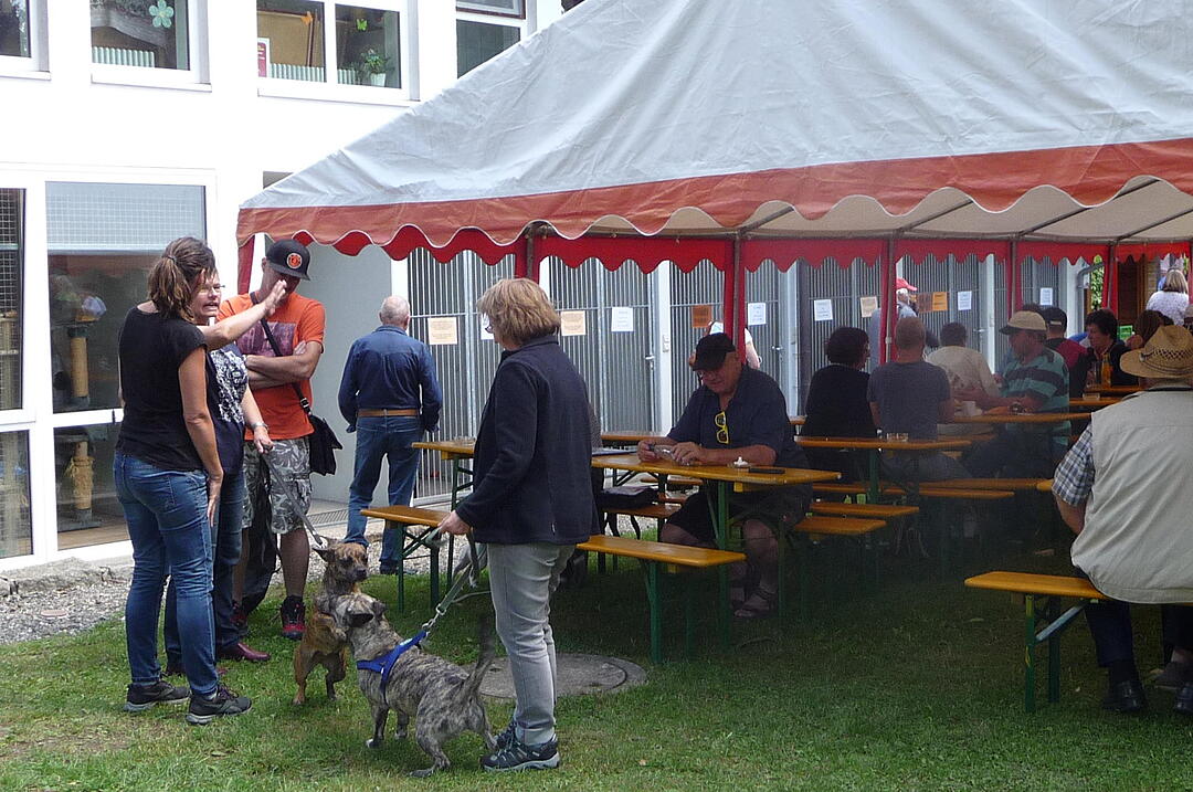 Fest Tierheim Kulmbach 19.8.