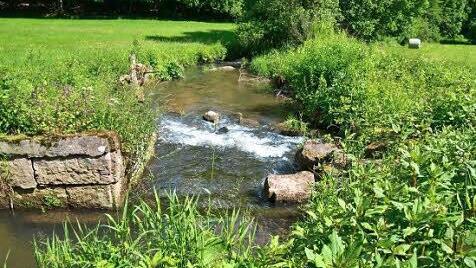 Natur pur am ehemaligen Wehr. Foto: Kathrin Kupka-Hahn