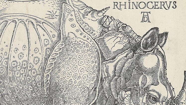 Albrecht Dürers berühmtes "Rhinocerus" gilt als Zeugnis früher Globalisierung.