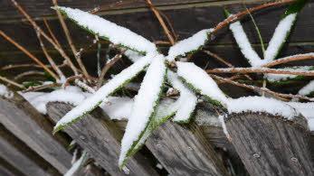 WInter in Baunach. Foto: Anna Püls