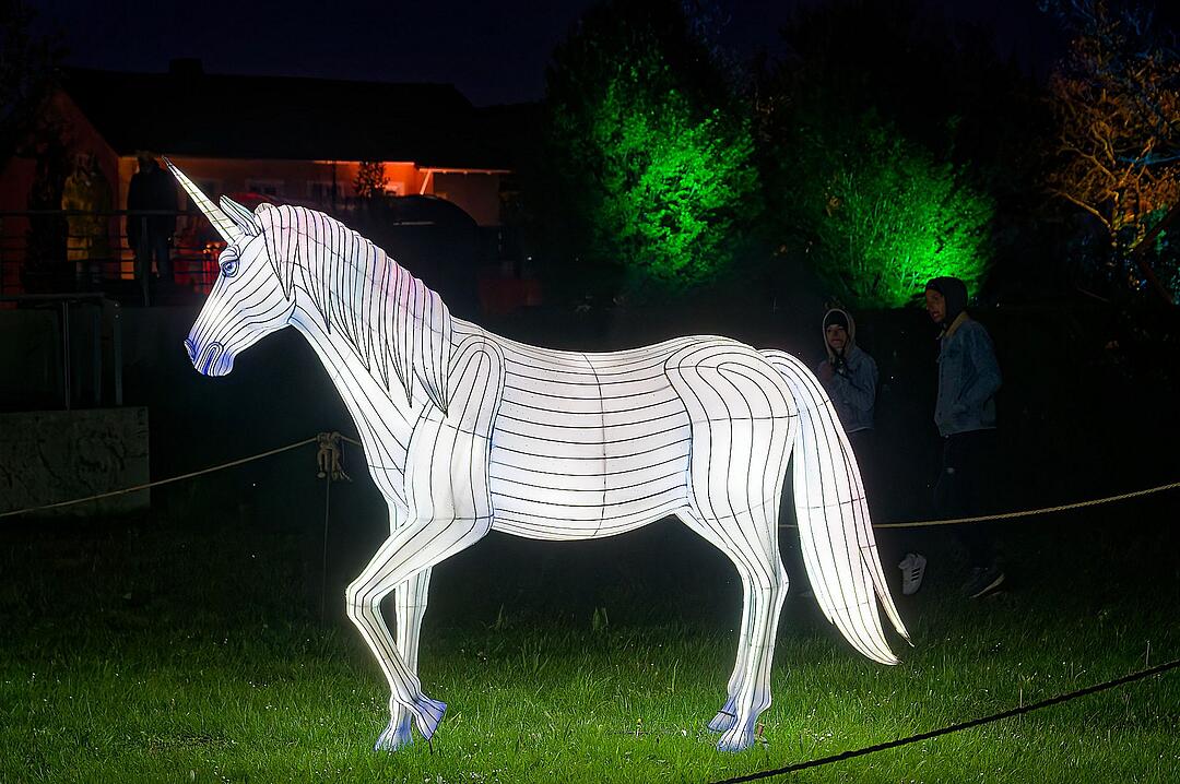 Eine magische Kulisse mit effektvoll platzierter Lichtkunst.