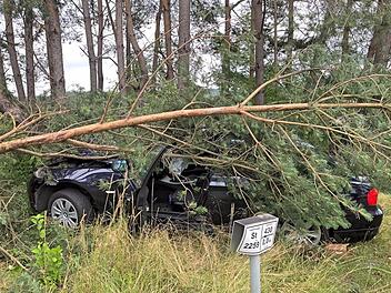 Der BMW-Fahrer verlor die Kontrolle über sein Fahrzeug und krachte gegen einen Baum. Foto: Michael Busch