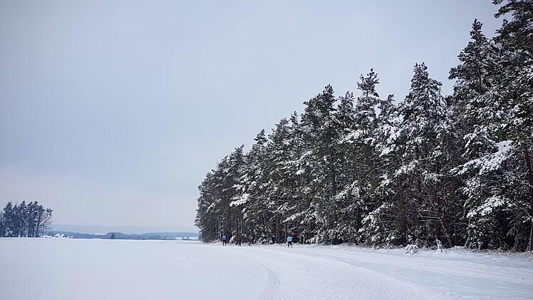 Panorama der Loipe bei Höhn  Foto: Dominik Mages