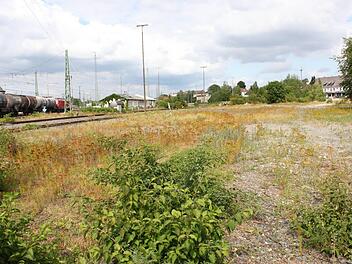 Derzeit wird das an die Bahngleise angrenzende Areal vor allem von Kaninchen gerne besucht.