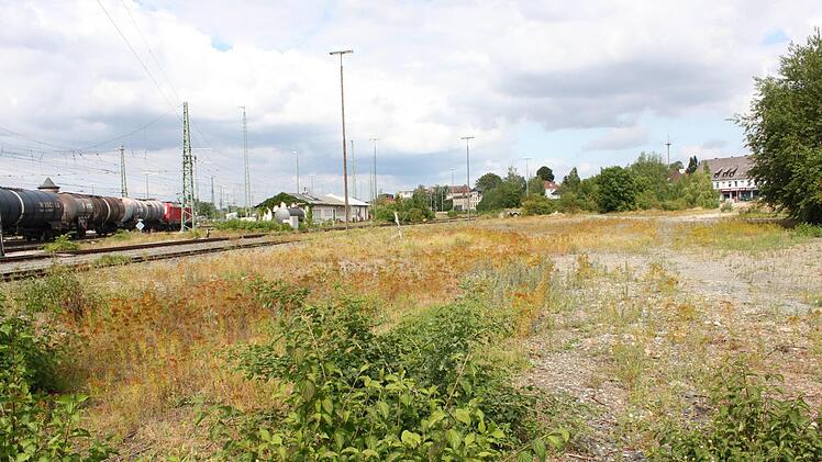Derzeit wird das an die Bahngleise angrenzende Areal vor allem von Kaninchen gerne besucht.