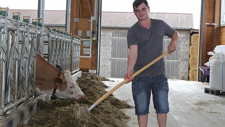 73 Kühe versorgt Landwirtschaftsmeister Robert Wölfel auf dem Hof in Buch am Sand. Im Schnitt gibt jede seiner "Sahneschnitten" 8500 Liter Milch im Jahr - von den 29 Cent pro Liter kann der Bauer kaum leben.