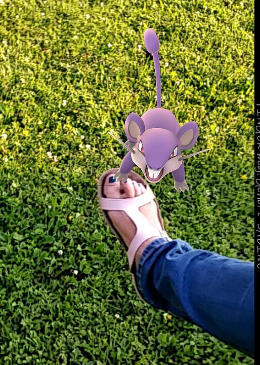 Pokémon Go - Die besten Bilder unserer Nutzer