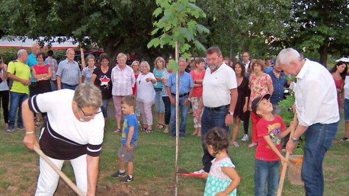 Das Ahorn-Bäumchen wurde von den Offiziellen gleich in den Dorfgarten gepflanzt. Auch die Kinder vom Spielplatz halfen eifrig mit. Foto: Andrea Spörlein
