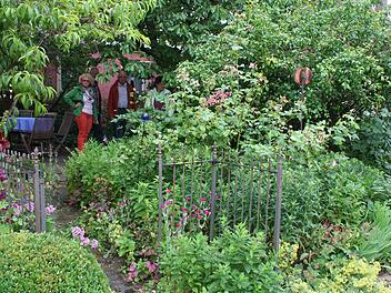 Wild und geheimnisvoll, so präsentiert sich der Garten von Heidi Rippel in Pommersfelden. Foto: Evi Seeger