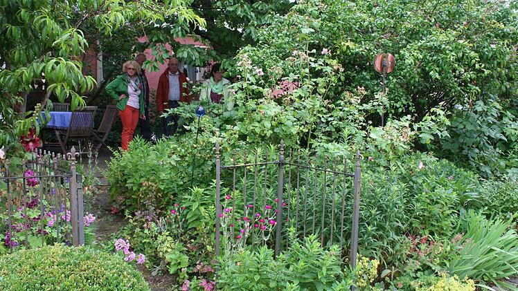 Wild und geheimnisvoll, so präsentiert sich der Garten von Heidi Rippel in Pommersfelden. Foto: Evi Seeger