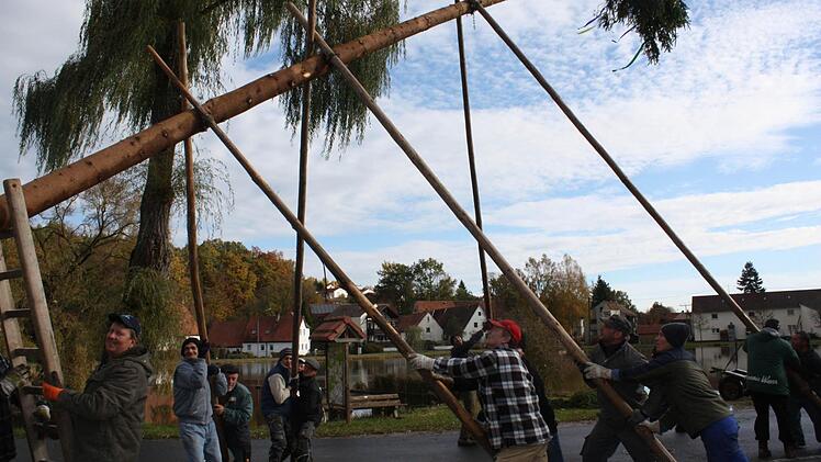 Ungewöhnlich viele Helfer waren heuer zum Baumaufstellen nach Ailsbach gekommen.  Foto: Sonja Werner