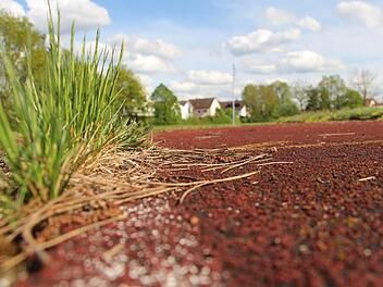Den alten Schulsportplatz lässt die Gemeinde Adelsdorf von einem Investor in Bauland umwandeln und vermarkten. Foto: Christian Bauriedel