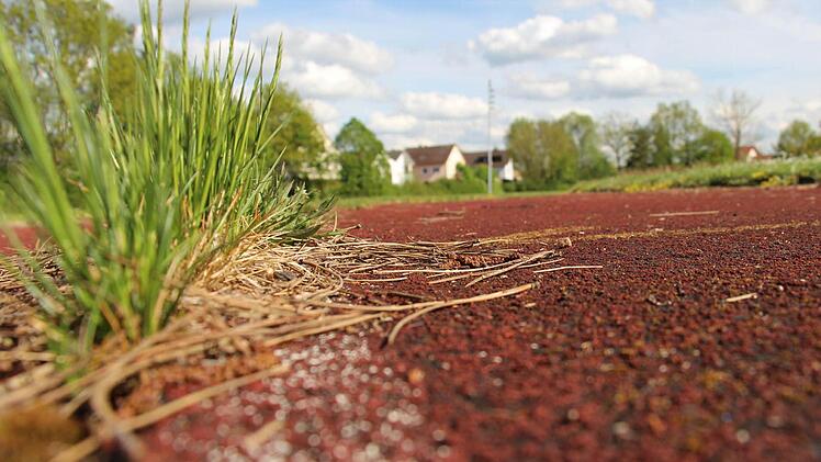 Den alten Schulsportplatz lässt die Gemeinde Adelsdorf von einem Investor in Bauland umwandeln und vermarkten. Foto: Christian Bauriedel