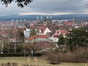 Bamberg: Baumfällungen und Rückschnitte an der Villa Remeis nötig