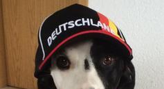 Vorschaubild