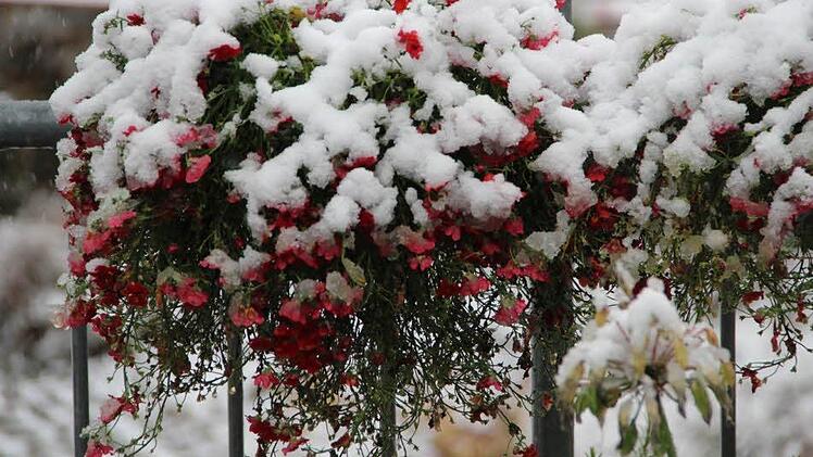 Winter in Münnerstadt. Foto: Heike Beudert.