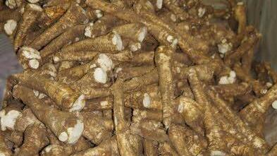 Foto: Heike Reinersmann