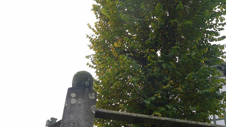 Foto: Berthold Köhler