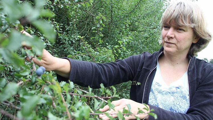 Christina Zehnter entdeckt in einer Hecke noch einige Schlehen-Früchte.  Fotos: Marco Meißner