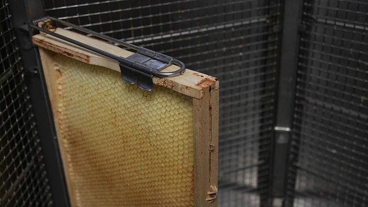 Erhard Bieber hat die Hälfte seiner Bienen im Winter verloren. Er will seine Völker wieder aufbauen: "Man darf den Mut nicht verlieren." Foto: Carmen Schmitt