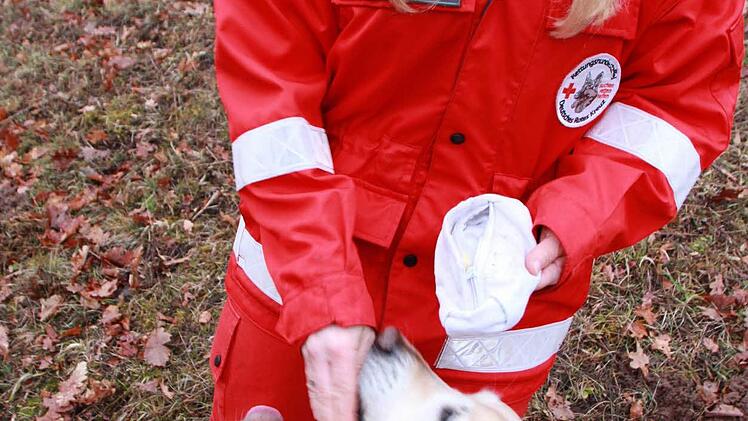 "Mika", der fünfjährige Golden-Retriever-Rüde von Erich Mock, (links) hört auf das Kommando vom Herrchen. Foto: Carmen Schmitt