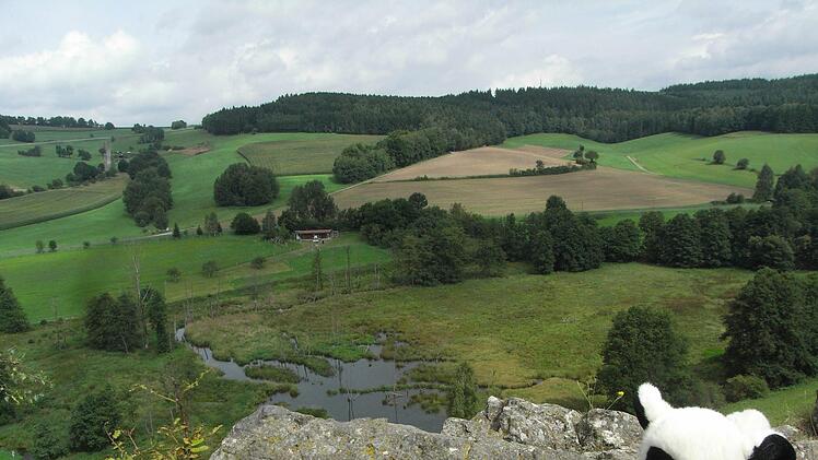 Rhönschnuppe auf dem Pilsterstein. Unten sieht man das Biber-Biotop, am Horizont die Wasserscheide zwischen den Systemen Rhein und Weser. Foto: Joachim Rübel