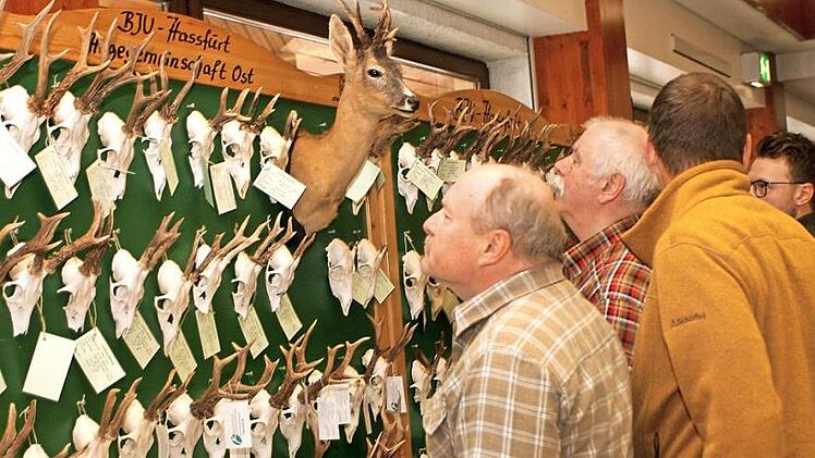 Großes Interesse herrschte bei der Gehörn-Schau aus den verschiedenen Hegegemeinschaften. Fotos: Günther Geiling