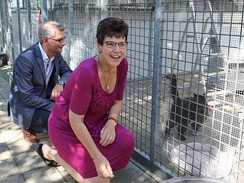 Oberbürgermeister Uwe Kirschstein und Susann Biedefeld (tierschutzpolitische Sprecherin der SPD-Landtagsfraktion) vor dem Käfig von Kater Wuschel, einer von bis zu 40 Katzen, die das Tierheim Forchheim aufnehmen kann. Foto: Barbara Herbst
