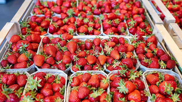 Erdbeerpreise explodieren in Supermärkten - Experten mit düsterer Prognose