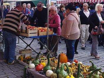 Impressionen vom Drei-L&auml;nder-Treffen in Kronach. Foto: Heike Sch&uuml;lein