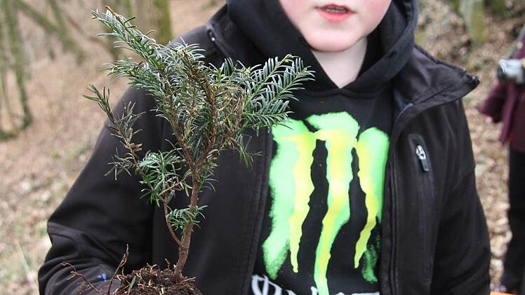 "Das Einpflanzen macht richtig Spaß", findet Lukas Klatt und genießt das "Praktikum" im Wald.