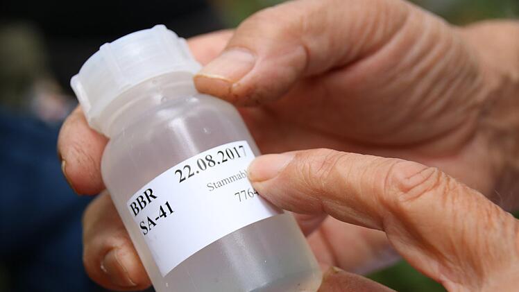 Das Regenwasser wird in solchen Fläschchen versendet.  Foto: Kathrin Kupka-Hahn