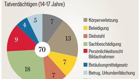 Aus der Kriminalstatistik 2014 Quelle: Polizeiinspektion Bad Brückenau; Grafik: Carolin Höfler