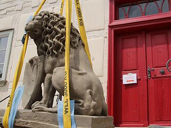 In Seßlach wacht der "König der Tiere" jetzt wieder über den Eingang zum Rathaus. Am Donnerstag wurde das frisch sanierte steinerne Denkmal zurück auf seinen Stammplatz mitten oben auf der Rathaustreppe gesetzt.  Foto: Bettina Knauth