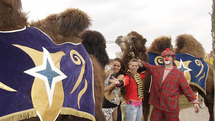 Foto: Jennifer Brechtelsbauer