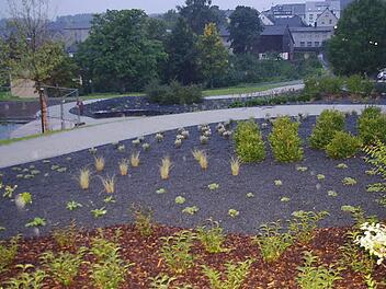 Rund 270 000 Euro kostete der Kräutergarten in der Arnika-Stadt Teuschnitz. Foto: Heike Schülein