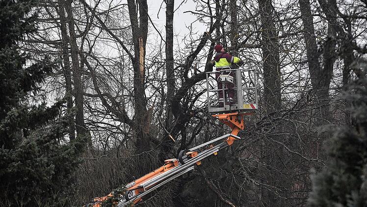 Meeder: Wegen Baumpflege - Kreisstra&szlig;e CO4 zwischen Mirsdorf und Ottowind ab Dienstag gesperrt