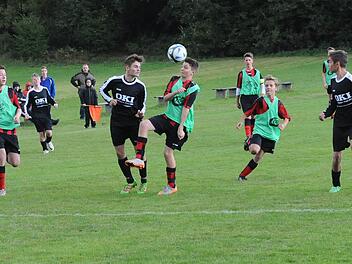 Allerhand "Zuschauer" haben Jonas Gunderlach vom FC Fuchsstadt (schwarzes Trikot) und Felix Knüttel von der JFG Sinntal/Schondratal II bei ihrem Kopfball-Duell. Foto: ssp