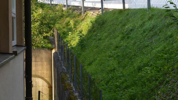Der Gemeinderat Bad Bocklet besah sich den Hand, der in Teilen droht abzurutschen, vor Ort. Foto: Björn Hein