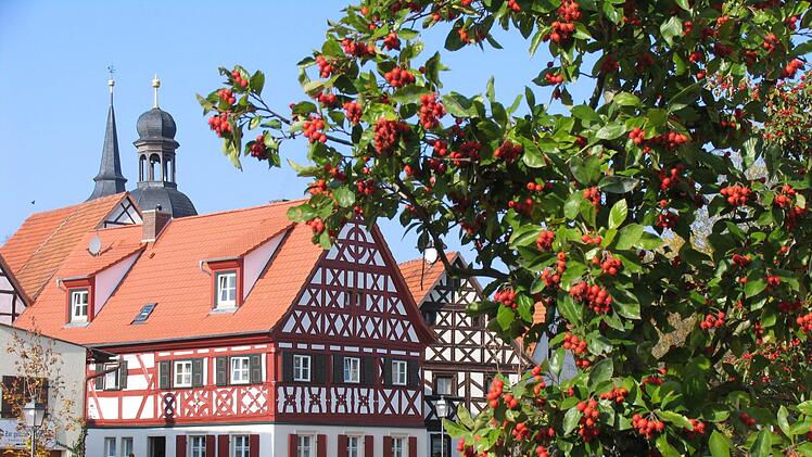 Rattelsdorf ist nicht nur die Geburtsstadt des ehemaligen Nationalmannschaft-Basketballspielers Steffen Hamann, sondern hat noch mehr zu bieten. Foto: Markt Rattelsdorf