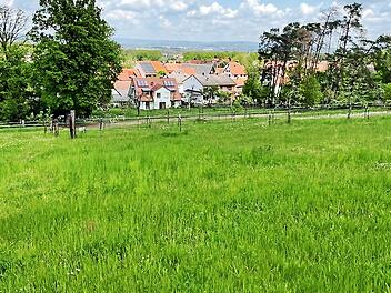 Vom Hang von Atzelsberg kommend fließt Starkregen ohne Rückhaltung ungehindert nach Bräuningshof ab. Nur die geplante Baumaßnahme schützt ein Drittel von Bräuningshof vor Hochwasser.